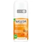 Дезодорант Weleda Обліпиха Roll-On 24 години 50 мл