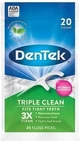 DenTek