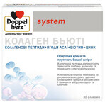 Доппельгерц System Kollagen Beauty раствор питьевой со вкусом дыни и личи, 25 мл №30: цены и характеристики