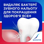 Зубная паста Sensodyne Чувствительность зубов и защита десен, 75 мл: цены и характеристики