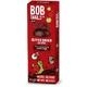 Bob Snail