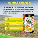 Ашваганда супер концентрат №60 капсула по 500 мг антистрес, заспокійливе, протизапальне, зміцнення імунітету: ціни та характеристики
