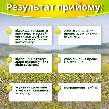 Ашваганда супер концентрат №60 капсула по 500 мг антистрес, заспокійливе, протизапальне, зміцнення імунітету: ціни та характеристики