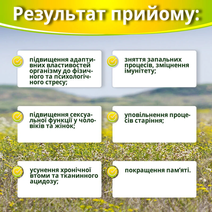 Ашваганда супер концентрат №60 капсула по 500 мг антистрес, заспокійливе, протизапальне, зміцнення імунітету: ціни та характеристики