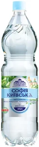 София Киевская