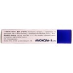 Амоксил-К 625 табл. п/о 500 мг + 125 мг №14: цены и характеристики