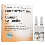 Овариум Композитум р-р д/ин. амп. 2,2 мл №5: цены и характеристики