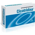 Cicatridina суппозитории вагинальные с гиалуроновой кислотой 2 г., № 10