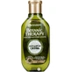 GARNIER Botanic Therapy Шампунь д/волос питат. Легендарная олива 250мл 