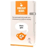 VIDILIGHT HERBS Фиточай Брейн Гейн улучшение работы мозгов фильтр-пак. 3г №20 
