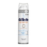 Піна для гоління Gillette Skinguard Sensitive Для чутливої шкіри Захист шкіри з екстрактом алое 250 мл
