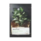 Маска для лица Beyond Herb Garden Black Tea Mask 22 мл