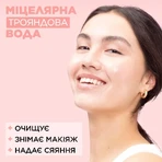 Мицеллярная вода Garnier Skin Naturals с розовой водой, для очистки кожи лица, 400 мл: цены и характеристики