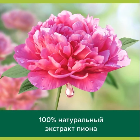 Гель для душу Palmolive Розкіш олій, з олією макадамії та екстрактом півонії, 250 мл: ціни та характеристики