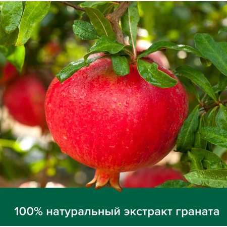 Гель-крем для душа Palmolive Натурэль Витамин B и Гранат, с увлажняющим молочком, 250 мл: цены и характеристики