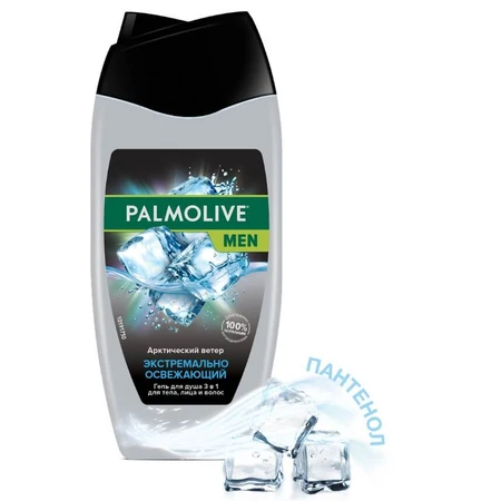 Гель для душа Palmolive Men Арктический ветер 3 в 1 для тела, лица и волос 250 мл: цены и характеристики