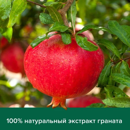 Рідке крем-мило Palmolive Натурель Вітамін B і Гранат, 300 мл : ціни та характеристики