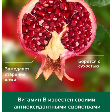 Рідке крем-мило Palmolive Натурель Вітамін B і Гранат, 300 мл : ціни та характеристики