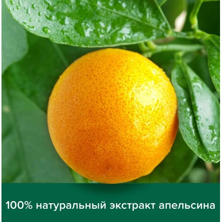 Рідке крем-мило для рук Palmolive Натурель Вітамін C та Апельсин, зі зволожувальним молочком, 300 мл: ціни та характеристики