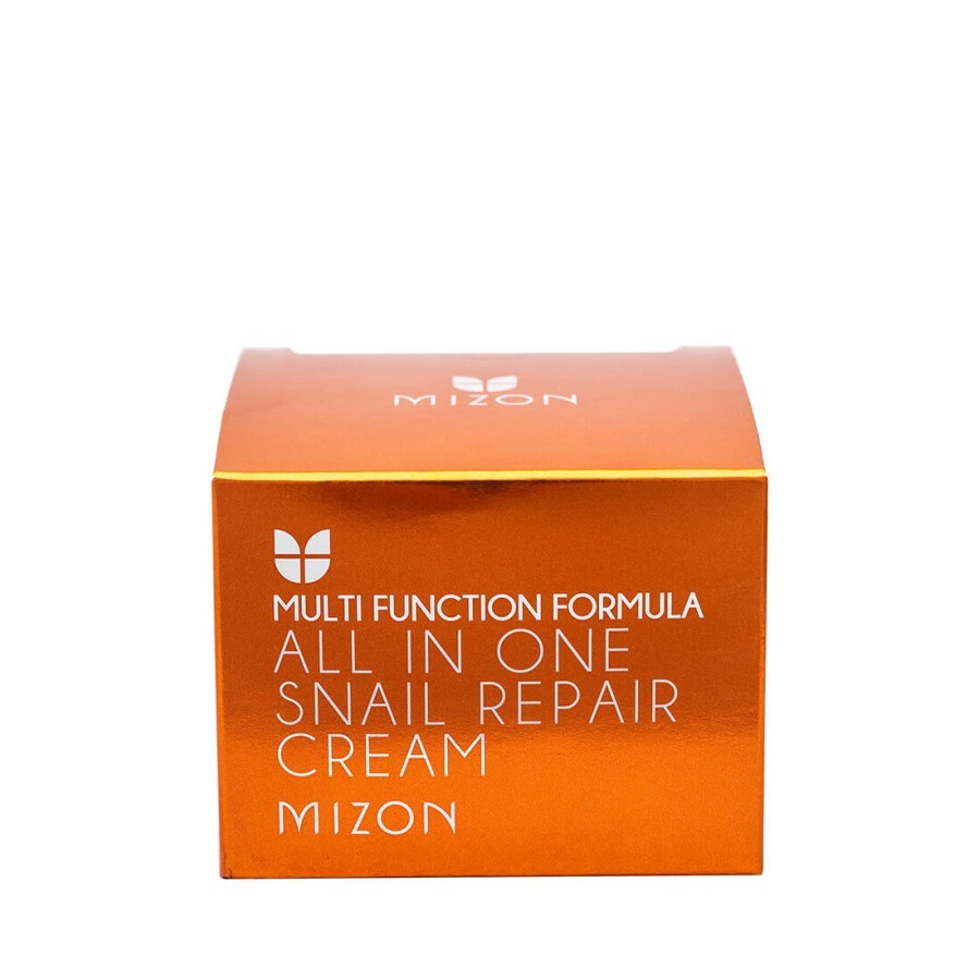 Крем для обличчя Mizon All in One Snail Repair Cream з муцином равлики 120 мл: ціни та характеристики