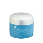 Крем-гель для проблемной кожи Mizon Acence Blemish Control Soothing Gel Cream, 50 мл : цены и характеристики