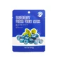 Маска для обличчя Shinetree Fresh Fruit з екстрактом чорниці 23 г