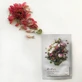 Маска для обличчя Шипшина Beyond Herb Garden Peony Mask, 22 мл