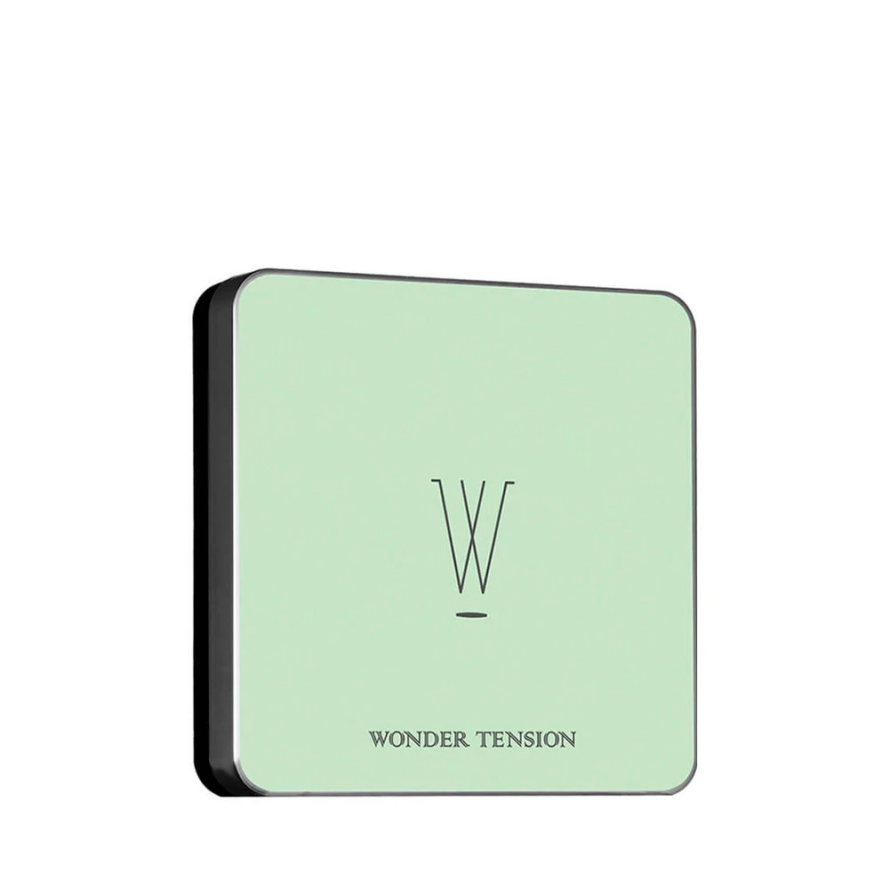Пудра-корректор Apieu Wonder Tension Pact мятная , 13 г : цены и характеристики