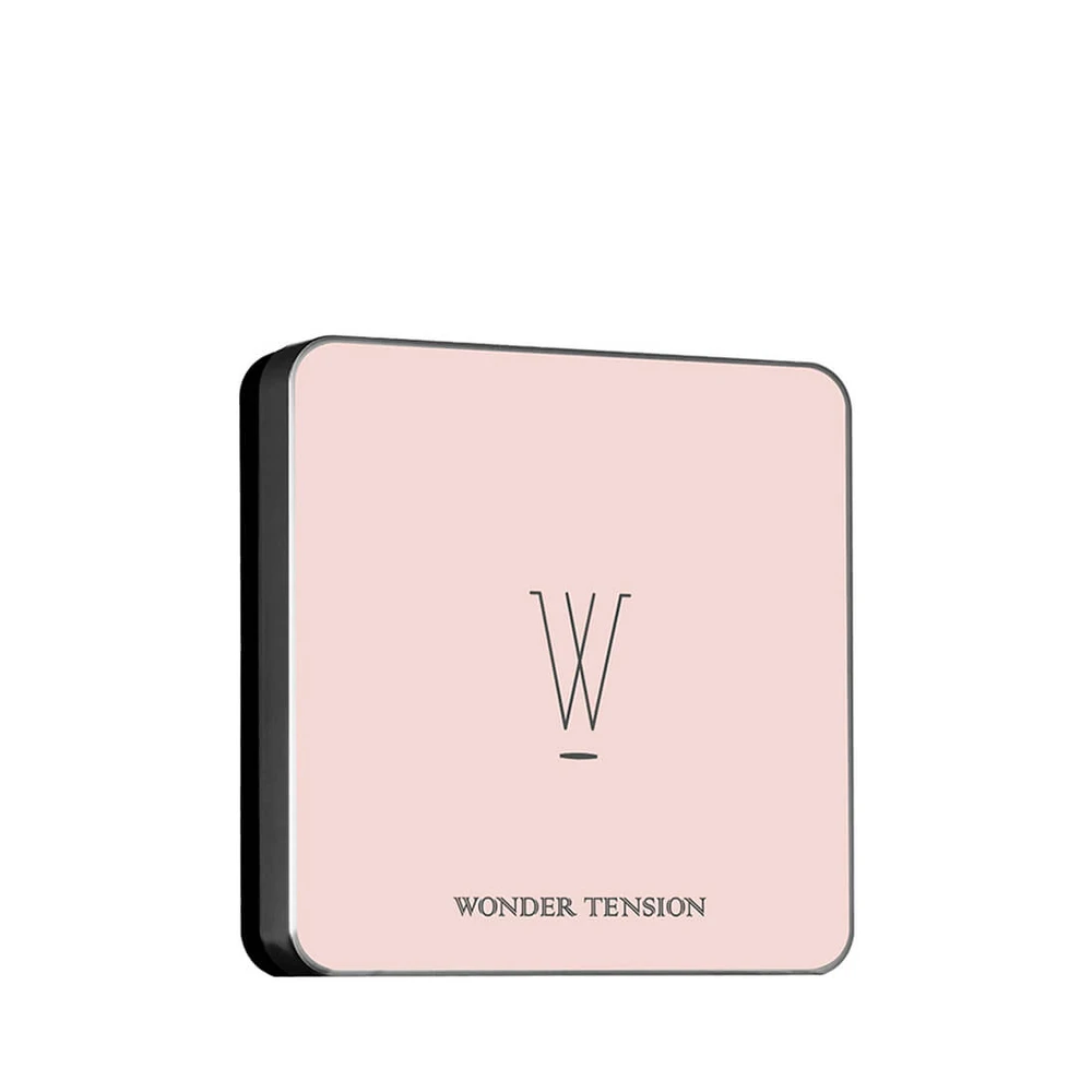 Пудра-корректор Apieu Wonder Tension Pact розовая, 13 г: цены и характеристики