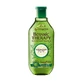 Шампунь Botanic Therapy Garnier для нормальных и склонных к жирности волос Масло чайного дерева, эвкалипта и Цитрус 400 мл