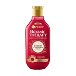 Шампунь Botanic Therapy Garnier для Faрбованого и мелируваного волос Аргановое Масло и Клюква 400 мл: цены и характеристики