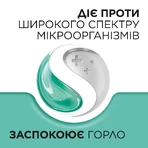 СТРЕПСИЛС® С МЕНТОЛОМ И ЭВКАЛИПТОМ, леденцы, 24 шт, облегчает боль в горле и заложенность носа: цены и характеристики