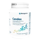 Candex Metagenics №45 капсулы