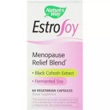 Поддержка при менопаузе Menopause Relief Blend Nature's Way 60 капсул