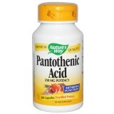 Пантотеновая кислота Pantothenic Acid Nature's Way 250 мг 100 капсул