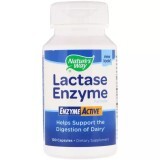 Формула фермента лактазы Lactase Enzyme Formula Nature's Way 100 капсул