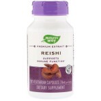 Грибы Рейши Reishi Standardized Nature's Way 376 mg 100 Капсул: цены и характеристики