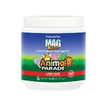 Магній для дітей без цукру Animal Parade Natures Plus порошок 171 г смак вишні