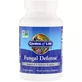 Ферментная поддержка и растительная защита от грибков Fungal Defense Garden of Life 84 вегетарианские капсулы