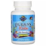 Комплекс для дітей з ДГК Oceans Kids Garden of Life від 3 років і старше смак ягідний лайм 120 мг 120 жувальних м'яких таблеток: ціни та характеристики