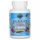Комплекс для детей с ДГК Oceans Kids Garden of Life от 3 лет и старше вкус ягодный лайм 120 мг 120 жевательных мягких таблеток