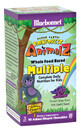 Мультивитамины для детей Rainforest Animalz Bluebonnet Nutrition вкус винограда 90 жевательных конфет