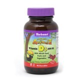 Вітамін D3 400 МО для дітей смак ягід Rainforest Animalz Bluebonnet Nutrition 90 жувальних цукерок