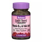 Витамин В12 и Фолиевая кислота вкус малины Earth Sweet Chewables Bluebonnet Nutrition 180 жевательных таблеток: цены и характеристики