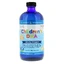 Рыбий жир (ДГК) для детей со вкусом клубники Children's DHA Strawberry Nordic Naturals 473 мл