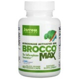 Мирозиназа Myrosinase Activated SGS BroccoMax Jarrow Formulas 60 вегетарианских капсул