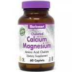 Хелатный кальций и магний Chelated Calcium Magnesium Bluebonnet Nutrition 60 таблеток : цены и характеристики