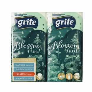 Носові хустки Grite Blossom Mint 3 шари 10 шт х 4 пачки