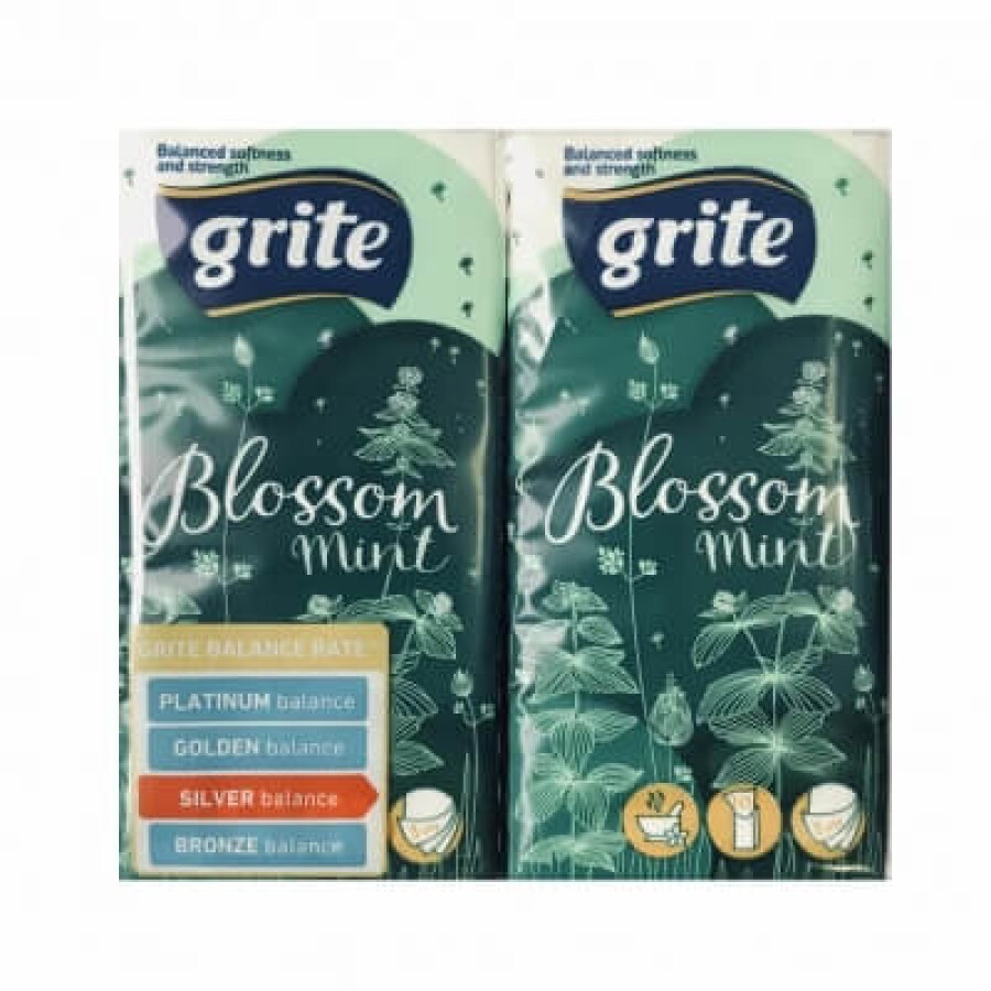 Носові хустки Grite Blossom Mint 3 шари 10 шт х 4 пачки: ціни та характеристики