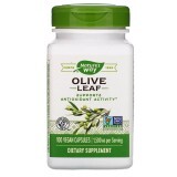 Оливковые листья Olive Leaves Nature's Way 1500 мг 100 Капсул